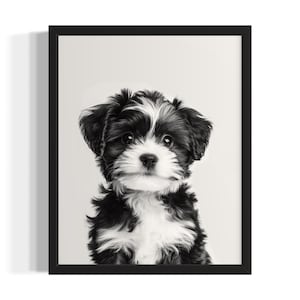 Havanese Puppies Black and White Poster Art Print, Living Room Wall Art Poster, Original Paint Artwork, Artwork Decor