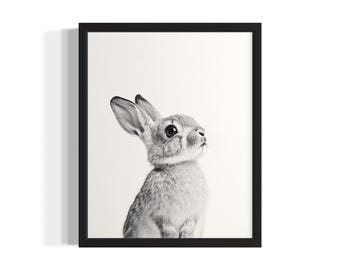Poster Lapin Élégant Style Victorien - Décoration Murale Animale Vintage Pour Salon, Bureau (Plusieurs Tailles)