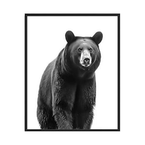Black Bear Black and White Animal Art Print, Wall Art Poster, Original Paint Artwork, Artwork Decor
