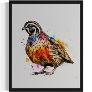Quail Bird Watercolor Art Print, Wall Art Poster, Original Paint Artwork, Artwork Decor