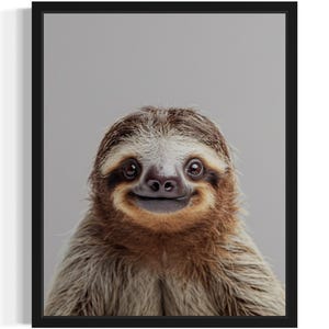 Sloth Animal Wildlife Art Print, Wall Art Poster, Original Paint Artwork, Artwork Decor