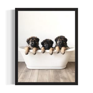 Leonberger Puppies in Bathtub Poster Art Print, Bathroom Wall Art Poster, Original Paint Artwork, Artwork Decor