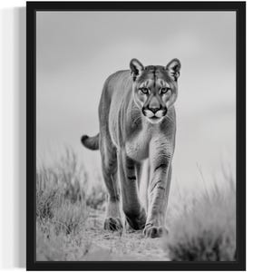 Puma Black and White Animal Art Print, Wall Art Poster, Original Paint Artwork, Artwork Decor