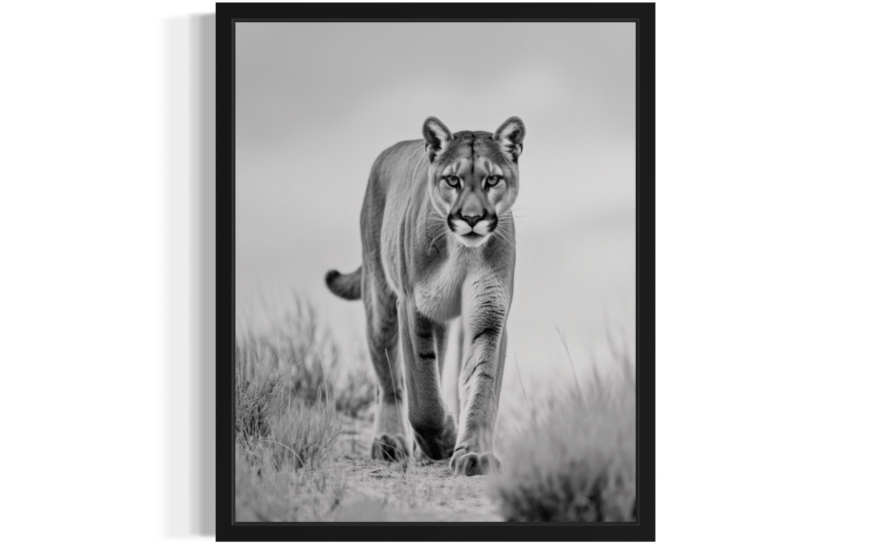 Puma Czarno-biały wydruk zwierzęcy, plakat ścienny, oryginalne dzieło sztuki malarskiej, dekoracja artystyczna