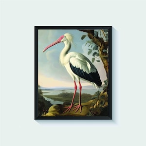 Stork Bird Vintage Art Print, Wall Art Poster, Original Paint Artwork, Artwork Decor