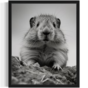Lemming Black and White Animal Art Print, Wall Art Poster, Original Paint Artwork, Artwork Decor