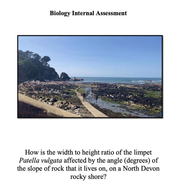 IB Biology Internal Assessment Exemplar Grade 7 Etsy ib-biology-internal-assessment-exemplar-grade-7-etsy