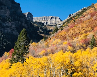May include: A view of a mountain range with a valley filled with yellow, orange, and red fall foliage. The trees are mostly deciduous and are in full autumn color. The mountains in the background are rocky and gray.