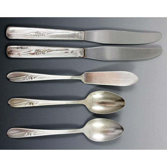 H&T Mfg Co 5 Pcs Meadow Flower Silverplate 1940 Tsps Knives Butter