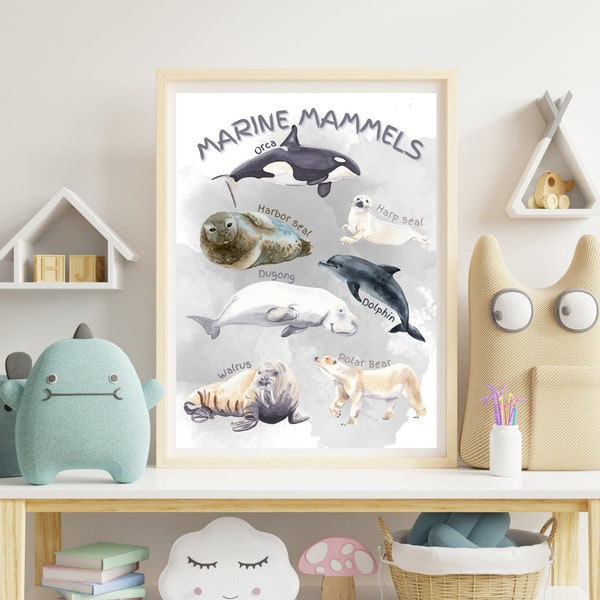 Marine Mammals Educational Poster, Ocean Animals Poster, Playroom Wall Decor, Ocean Sea Nursery Theme, Educational Ocean Themed, Mammals art