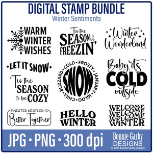 Winter Sentiments Digital Stamp Bundle, Word Art Quotes, Photo Overlays, Clip Art, Word Art Quotes for Cardmaking, PNG, Digital Sentiments