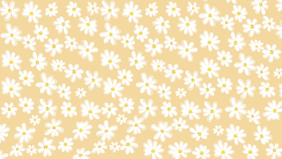 Daisy Wallpapers  TrumpWallpapers