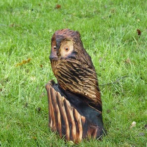 Chainsaw Carved Owl