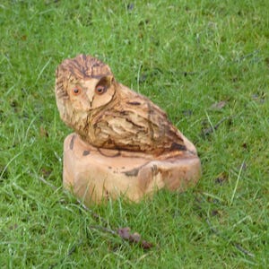 Chainsaw Carved Owl
