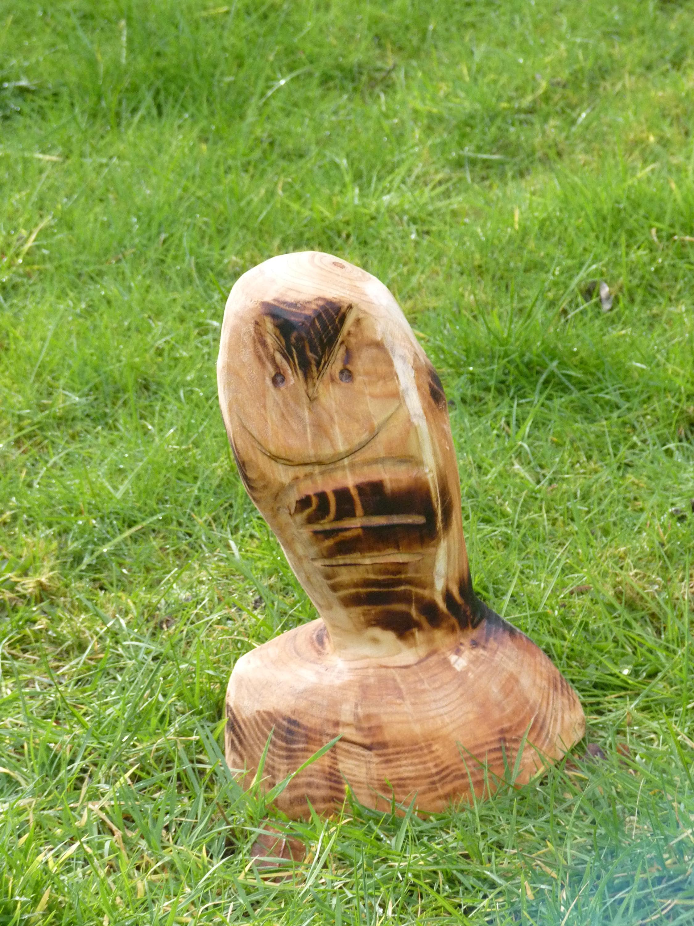 Chainsaw Carved Owl