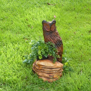 Chainsaw Carved Owl with plant pot holder