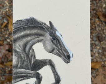 Schizzo a matita e carboncino di un cavallo 9x11