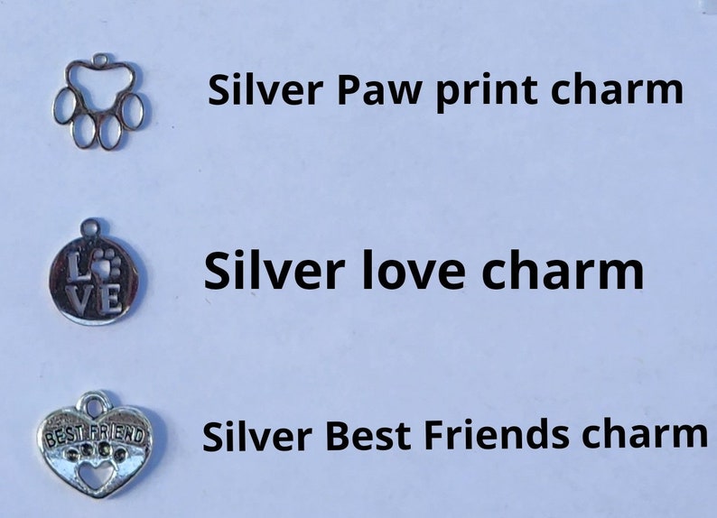 Custom Pet Charm Bracelet Pet Lover Pet Memorial Bracelet Etsy