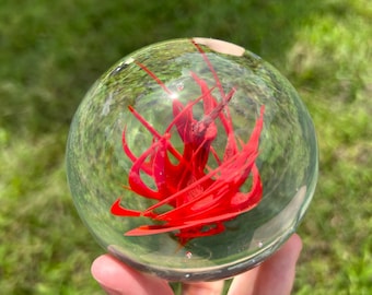 Red Devils Fire