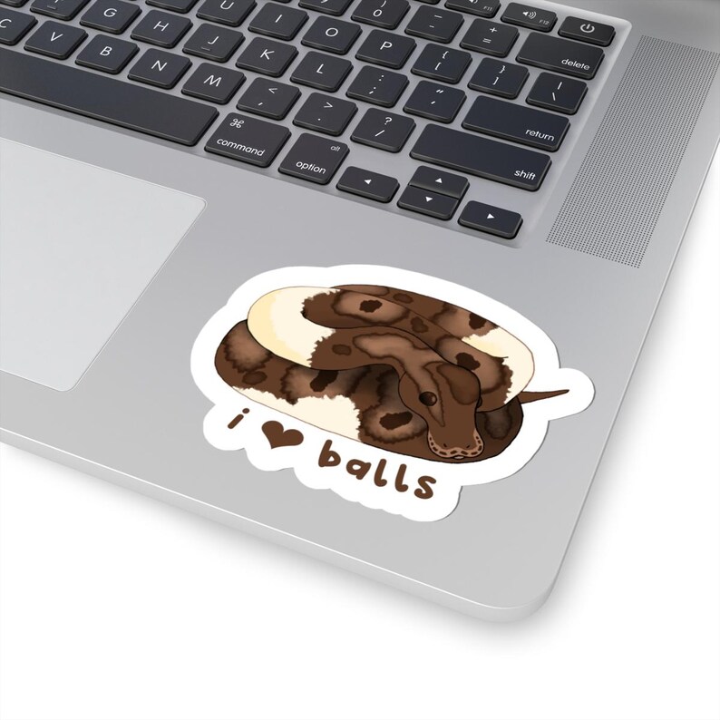 Königspython Aufkleber Bild 3