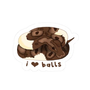 Königspython Aufkleber Bild 2