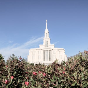 Payson temple 5