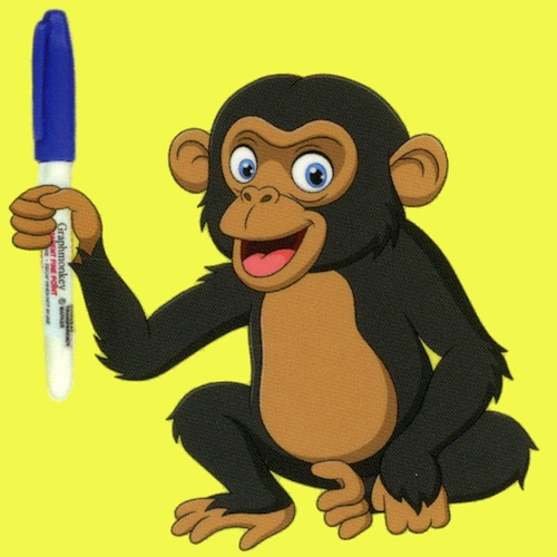 アンソニー・マッキーの直筆サイン入り 8x10 キャプテン