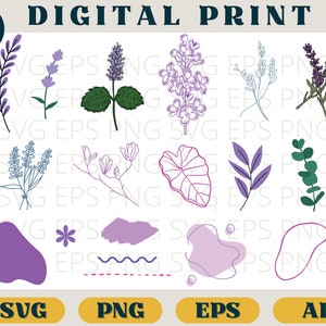 Lavender Lilac bundle, Lavender Lilac print, Svg Eps Png AI, Lavender Lilac botánico clipart PNG SVG descargar, Purple Flowers romantic cricut