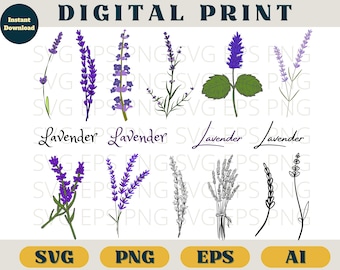 Lavender bundle | Vintage Lavender print | Svg Png AI | Lavender botanic clip art png | Lavender SVG download | Purple Flowers romantic