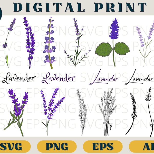 Lavender bundle | Vintage Lavender print | Svg Png AI | Lavender botanic clip art png | Lavender SVG download | Purple Flowers romantic