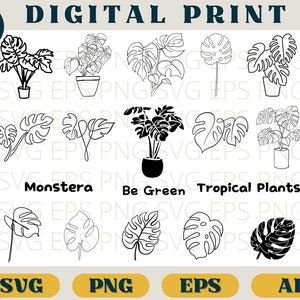 Monstera bundle, Monstera Leaf print, Svg Eps Png AI, Tropical plants clipart png, Plant leaves SVG download, Monstera silhouette, cricut