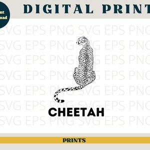 May include: Black and white line art illustration of a cheetah sitting down. The cheetah is facing away from the viewer. The text "CHEETAH" is below the image.