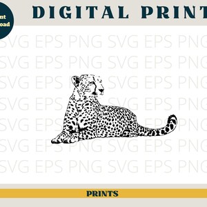 May include: Black and white line art illustration of a cheetah lying down. The cheetah is facing to the left and has a spotted coat.