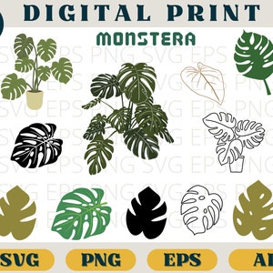 Monstera bundle, Monstera Leaf print, Svg Eps Png AI, Tropical plants clipart png, Plant leaves SVG download, Monstera silhouette, cricut