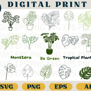 Green Monstera bundle, Monstera Leaf print, Svg Eps Png AI, Tropical plants clipart png, Plant leaves download, Monstera silhouette, cricut
