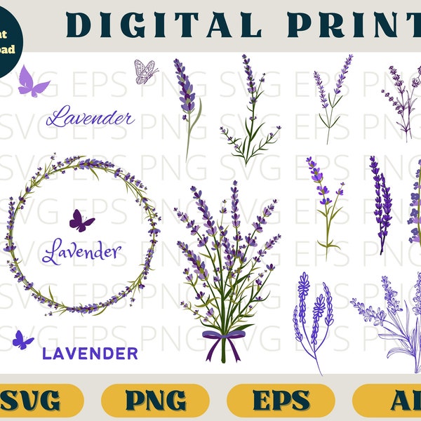 Lavendelbündel | Vintage Lavendel Druck | SVG Eps Png AI | Lavendel botanischer Clip art png | Lavendel SVG download | Lila Blumen romantisch