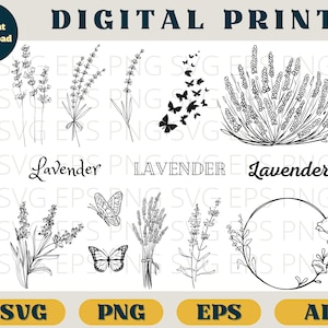 Lavendel bund, Lavendel print, Clipart, svg eps Png ai, Lavendel Wildblumen Clip Art png, Schmetterling SVG download, Blumen romantisch schwarz weiß
