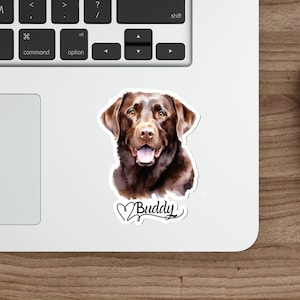 Könnte beinhalten: Eine Aquarell-Illustration eines braunen Labrador Retrievers mit dem Namen "Buddy" unter dem Hund.