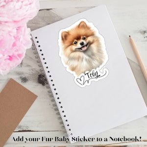 Pomeranian Sticker Personalized Dog Name, Vinyl Decal Sticker, Pomeranian Dog Mom Gifts, Custom Dog Sticker for Car, Laptop, Tumbler, Friend