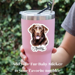 May include: A pink stainless steel tumbler with a sticker of a brown Labrador Retriever with the name "Buddy" on it.