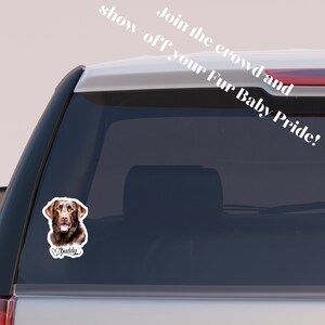 May include: A brown Labrador Retriever dog with a heart and the word "Buddy" underneath. The dog is on a white sticker on the back window of a silver car. The text "Join the crowd and show off your Fur Baby Pride!" is on the window above the sticker.