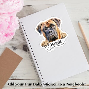 Mastiff Sticker Personalized Dog Name, Vinyl Dog Decal, Peeking English Mastiff Dog Mom Gift, Custom Dog Sticker for Car, Laptop, Tumbler