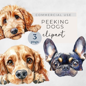Imágenes prediseñadas de perros que miran a escondidas, imágenes prediseñadas de perros de acuarela, imágenes prediseñadas de cocker spaniel, imágenes prediseñadas transparentes, imágenes prediseñadas de uso comercial, imágenes prediseñadas de labradoodle