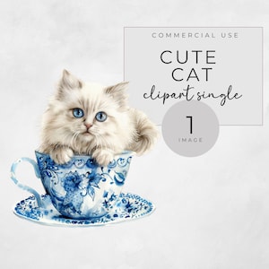 Kat theekopje clipart, schattige kat png, transparante pngs, junk journal kieskeurig knippen, kattenafbeelding, commercieel gebruik, enkel beeld kitten