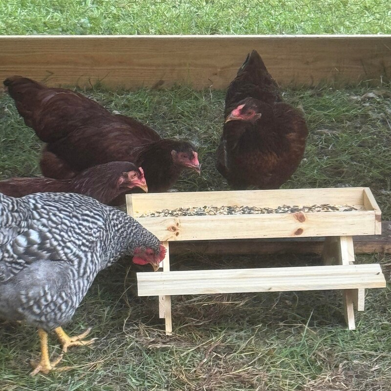 Chicknic Table - Etsy