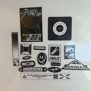 Puede incluir: Una colección de pegatinas en blanco y negro con varios diseños y texto. Las pegatinas presentan frases como "Stray Kids", "Ordinary", "Freeze" y "Maniac", junto con elementos gráficos como una carita sonriente y una diana.