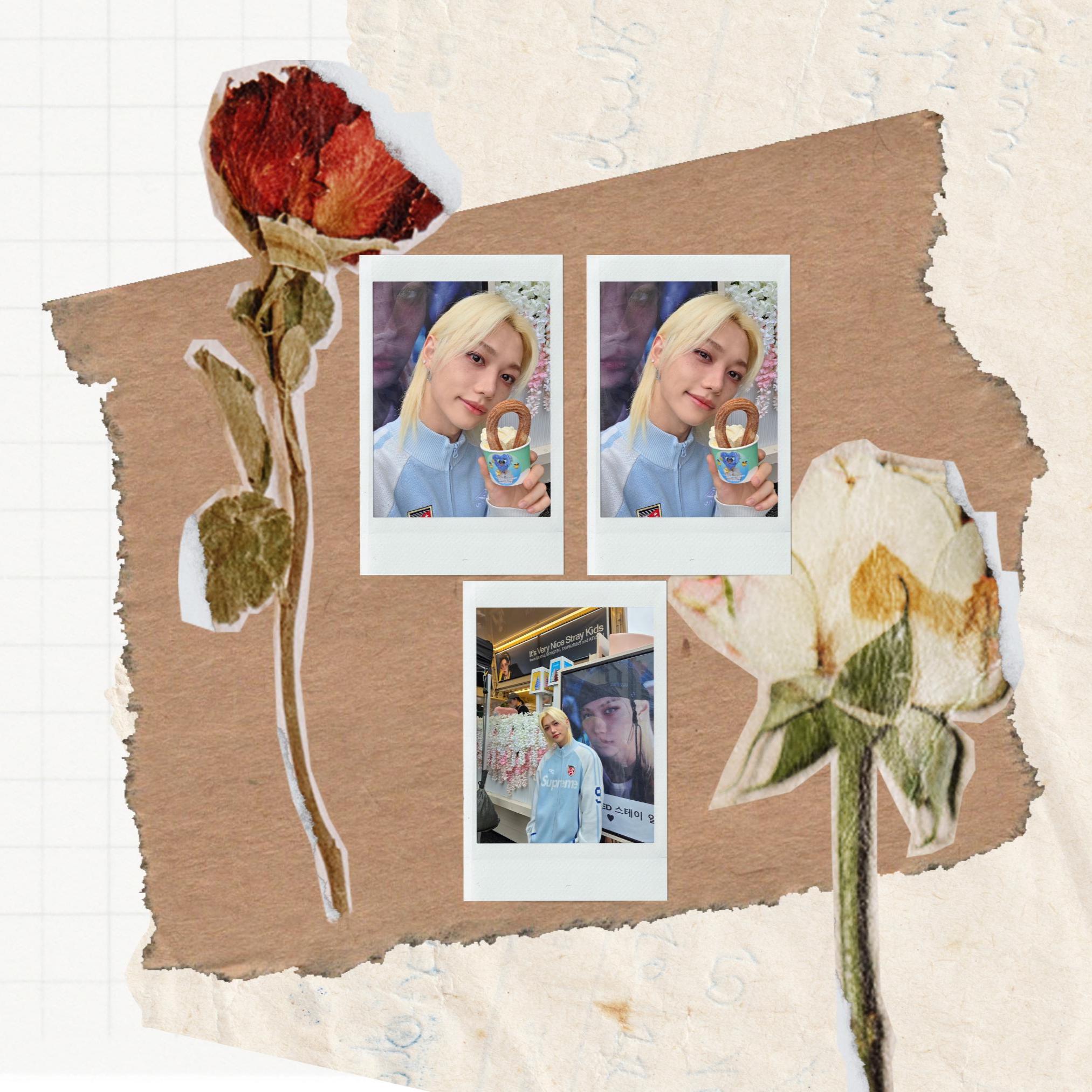 Felix Polaroid - Etsy