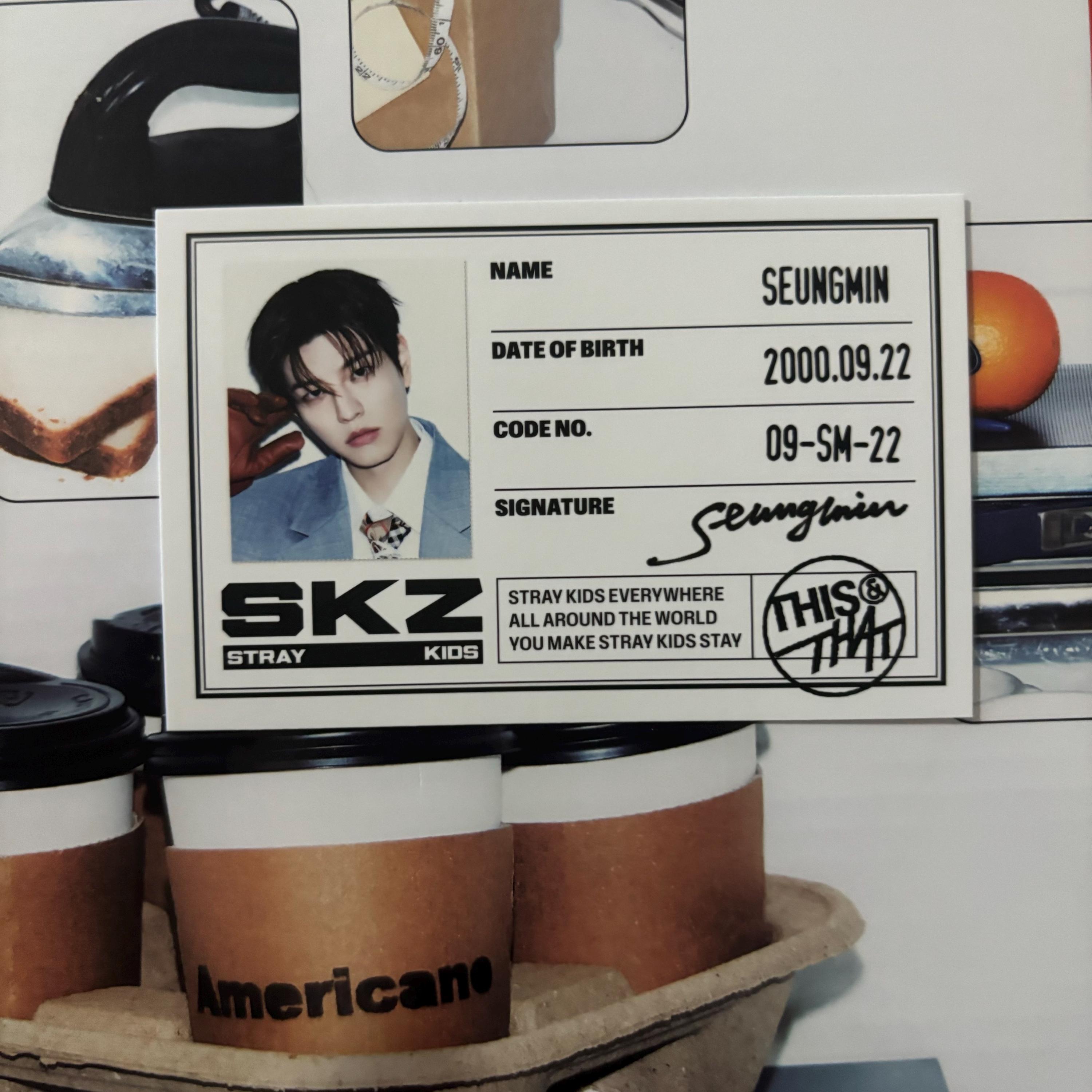 Seungmin Oddinary Photocard - Etsy