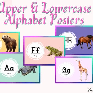 Upper & Lowercase Alphabet Tracing Cards, Letters A to Z, 26 Alphabet Worksheets, Pre k Worksheets, Practice, Homeschool, Preschool, PDF