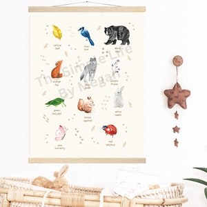 Farbkarte Poster Wald Thema|Hauptfarben Waldtiere|Kinderposter|Lernposter|Lernposter|Lernposter|Kinderposter|Kinderposter|Kinderposter|Kinderzimmer